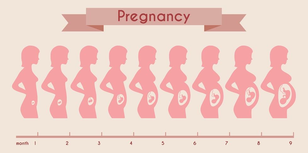 1 Month Pregnant Baby Development: What to Expect