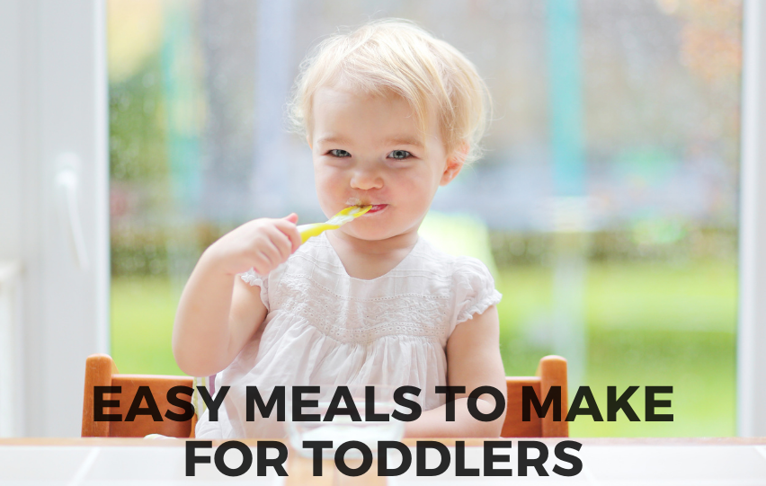 Discover These Easy Meals to Make for Toddlers | New Baby Time