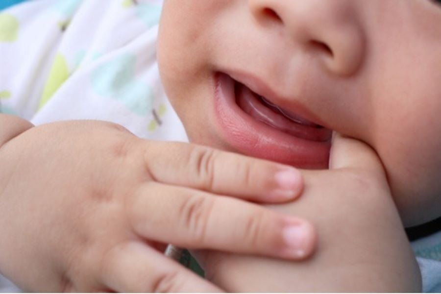 Everything to Know About 2 Year Old Molars
