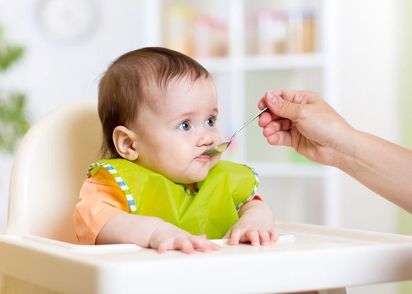 Top 10 Baby Food Recipes - Check Them Out