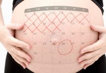 Online Pregnancy Calculator – Learn How to Use it for Free
