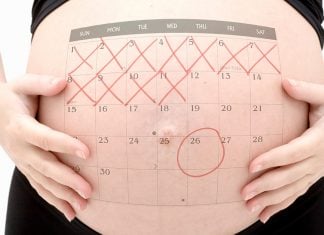 Online Pregnancy Calculator – Learn How to Use it for Free